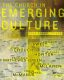 The Church in Emerging Culture: Five Perspectives